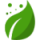leaf svgrepo com 2 e1756538518244