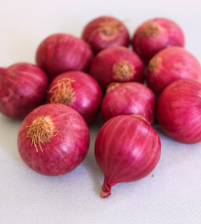 Onion